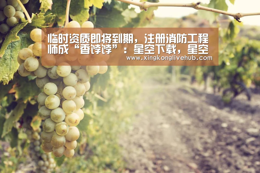 临时资质即将到期,注册消防工程师成“香饽饽”:星空下载,星空电竞,星空娱乐,星空APP(图1) 星空下载,星空电竞,星空娱乐,星空APP