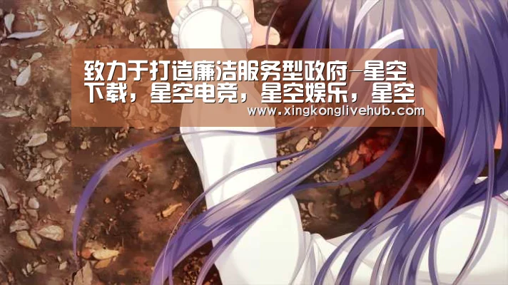 致力于打造廉洁服务型政府-星空下载,星空电竞,星空娱乐,星空APP(图1) 星空下载,星空电竞,星空娱乐,星空APP