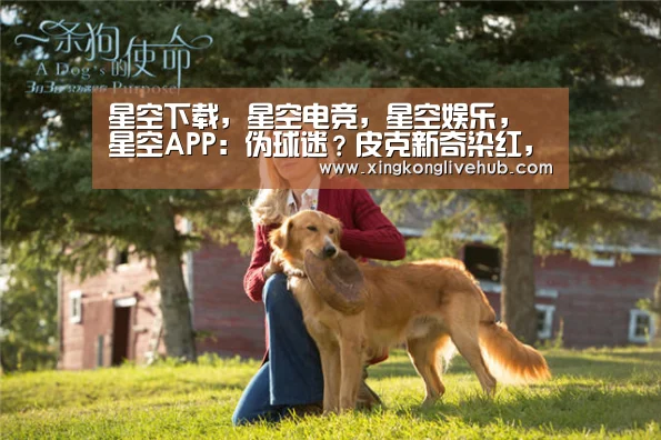 星空下载,星空电竞,星空娱乐,星空APP:伪球迷?皮克新奇染红,两亚裔巴萨球迷疯狂起哄(图1) 星空下载,星空电竞,星空娱乐,星空APP