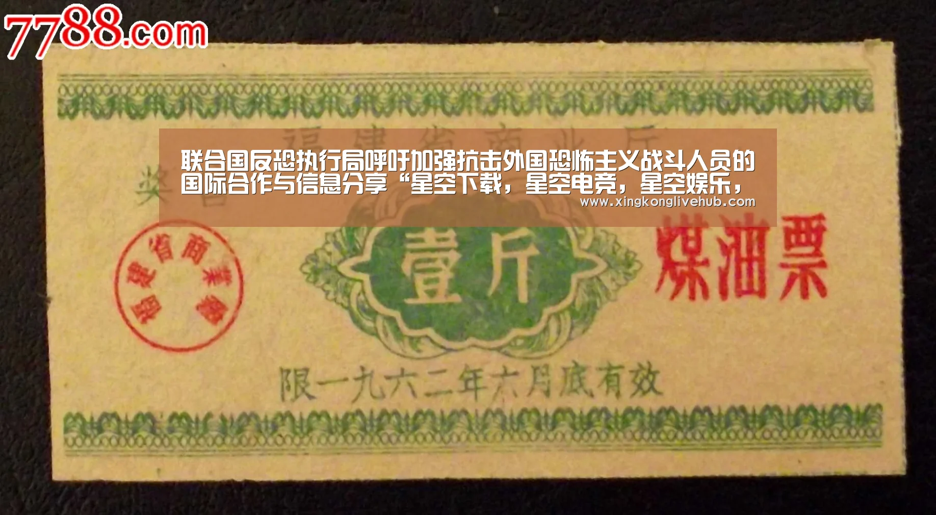 联合国反恐执行局呼吁加强抗击外国恐怖主义战斗人员的国际合作与信息分享“星空下载,星空电竞,星空娱乐,星空APP”(图1) 星空下载,星空电竞,星空娱乐,星空APP