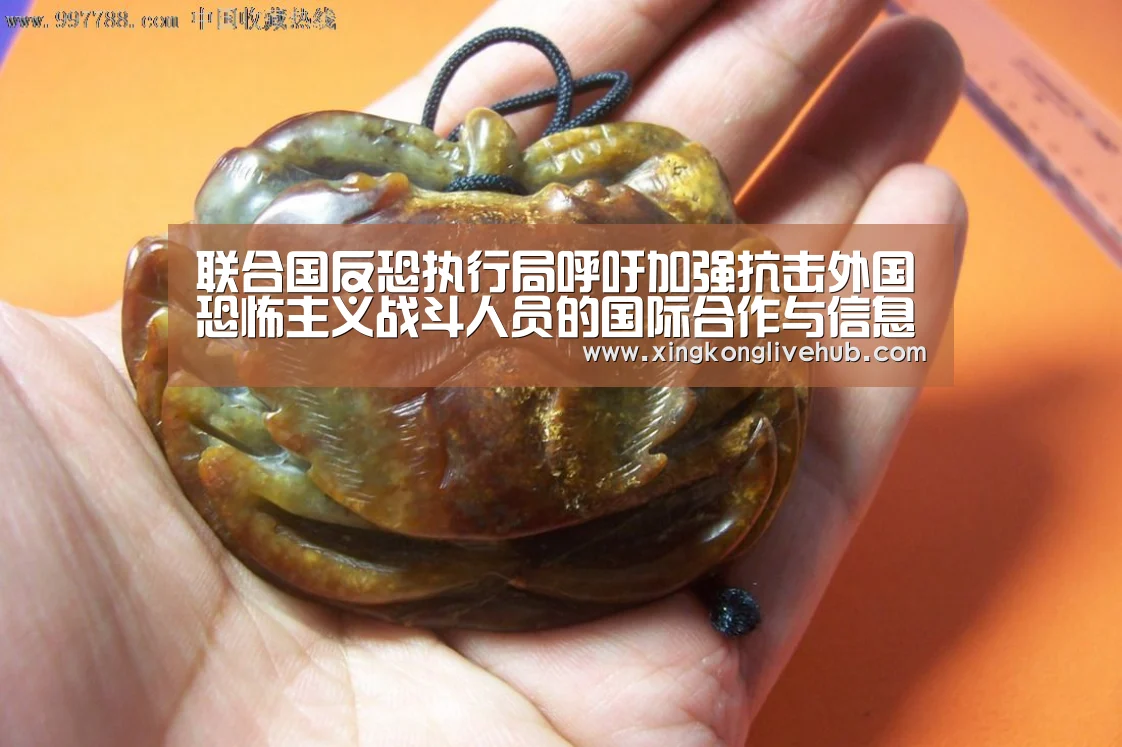 联合国反恐执行局呼吁加强抗击外国恐怖主义战斗人员的国际合作与信息分享“星空下载,星空电竞,星空娱乐,星空APP”(图3) 星空下载,星空电竞,星空娱乐,星空APP