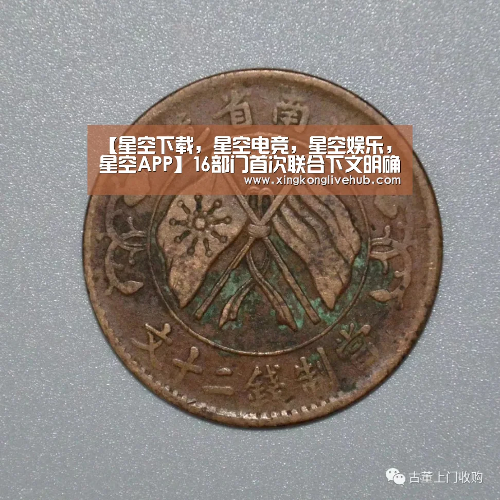 【星空下载,星空电竞,星空娱乐,星空APP】16部门首次联合下文明确县乡属地监管职责(图1) 星空下载,星空电竞,星空娱乐,星空APP