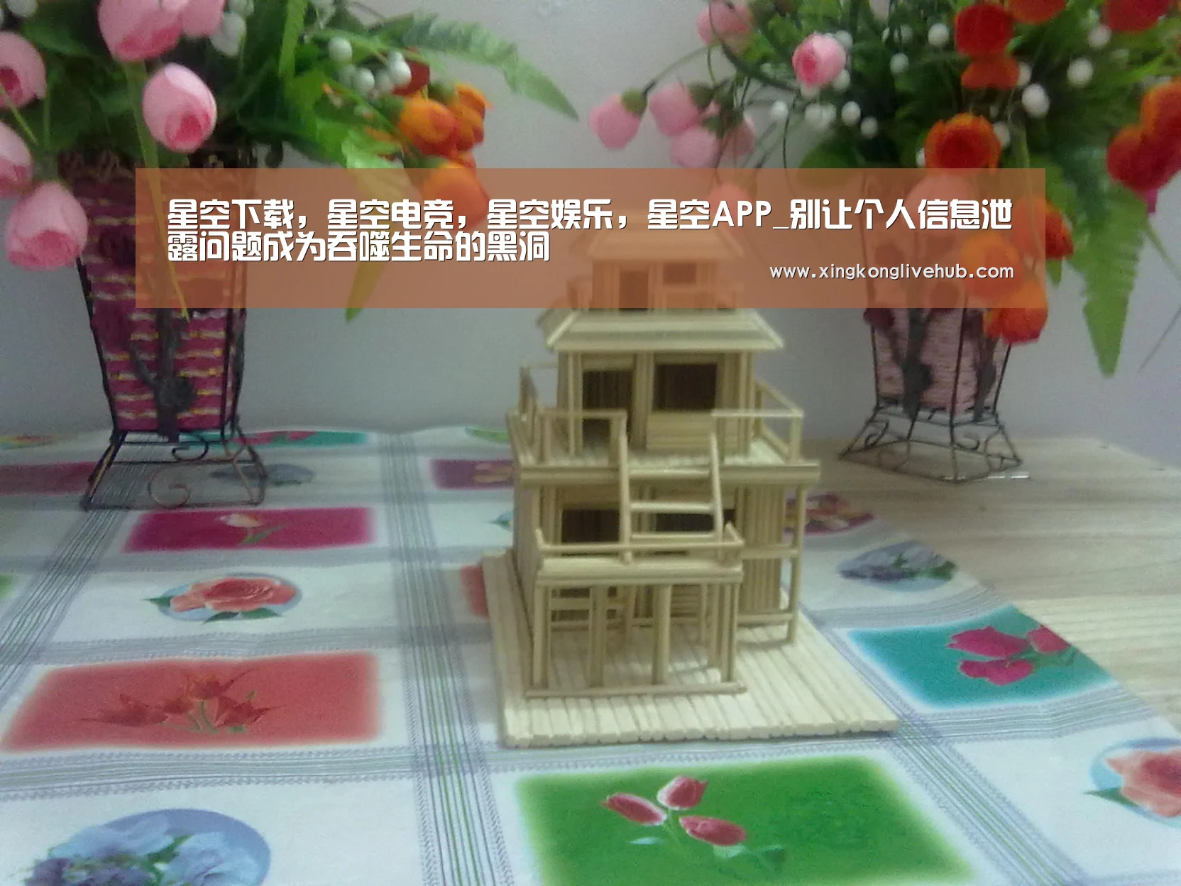 星空下载,星空电竞,星空娱乐,星空APP_别让个人信息泄露问题成为吞噬生命的黑洞(图4) 星空下载,星空电竞,星空娱乐,星空APP